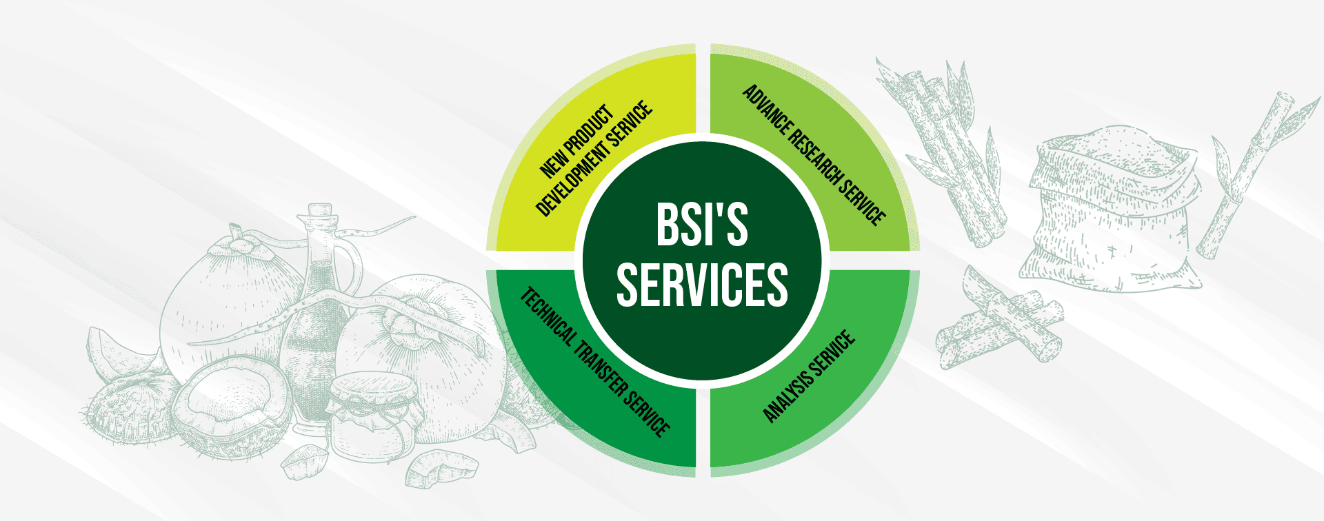 Vai trò của BSI trong Chiến lược Kinh doanh