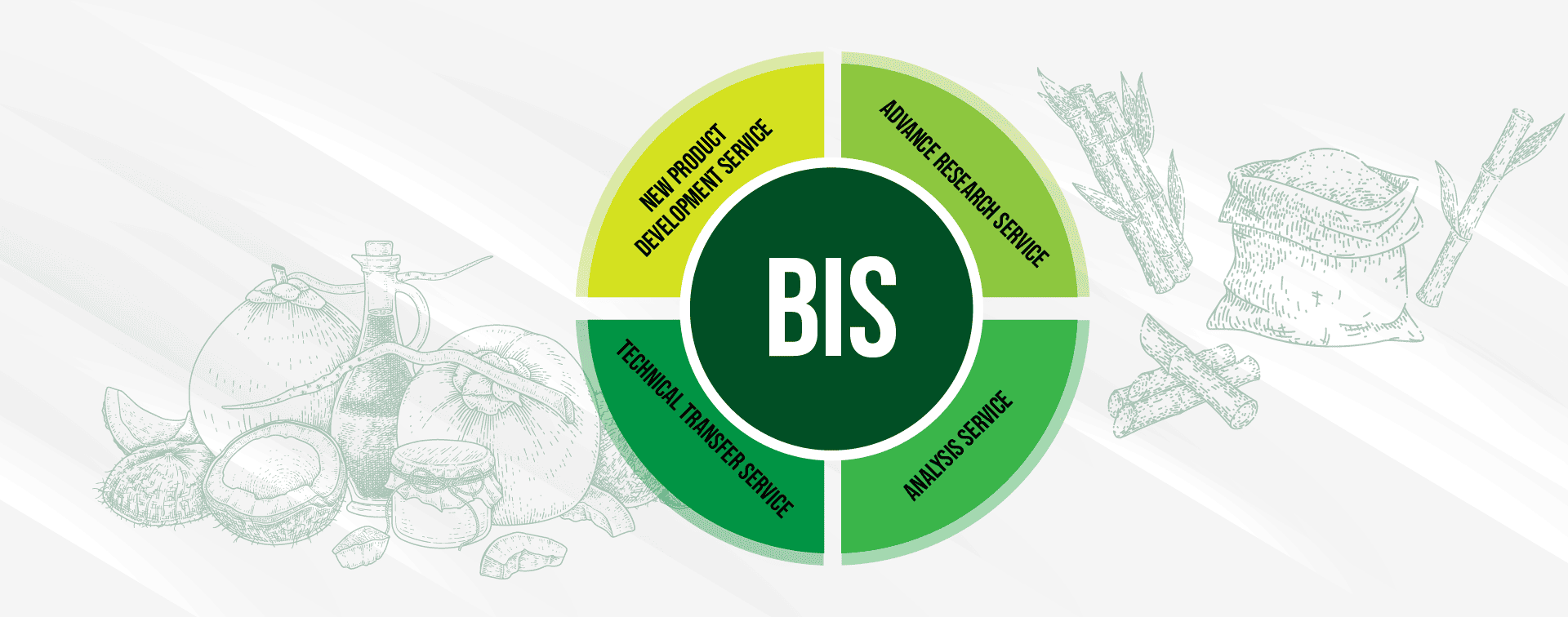 BIS's Role in the Business Strategy