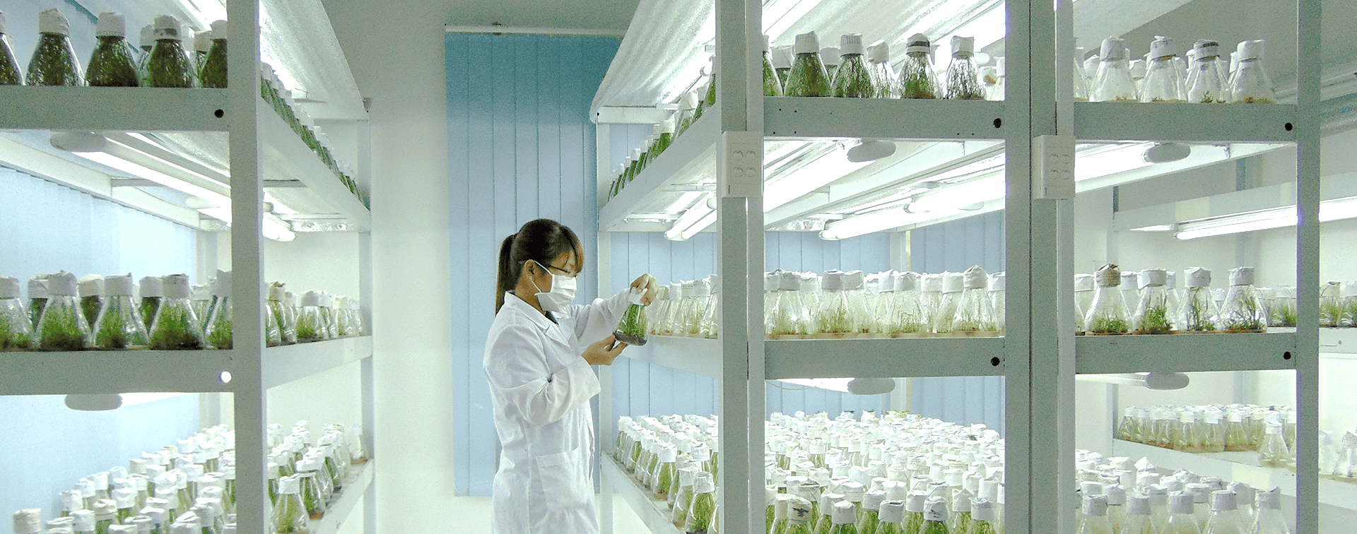 Advanced Research and Innovation